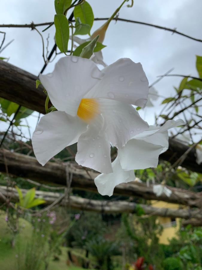 Pousada Recanto Da Mata Marechal Floriano Kültér fotó